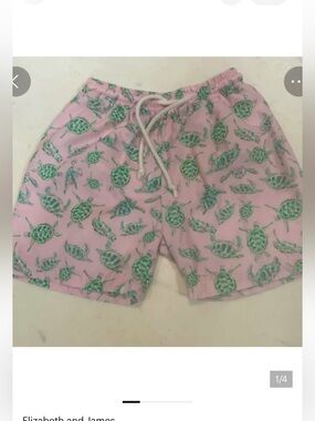 ELiza James Kids Turtle Swim Trunks